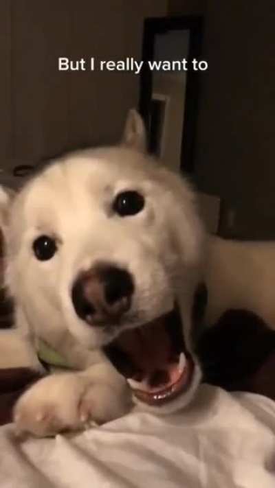 What do you think you're doing?