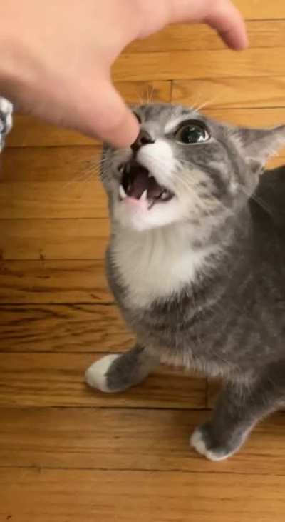 Sound on for a surprise
