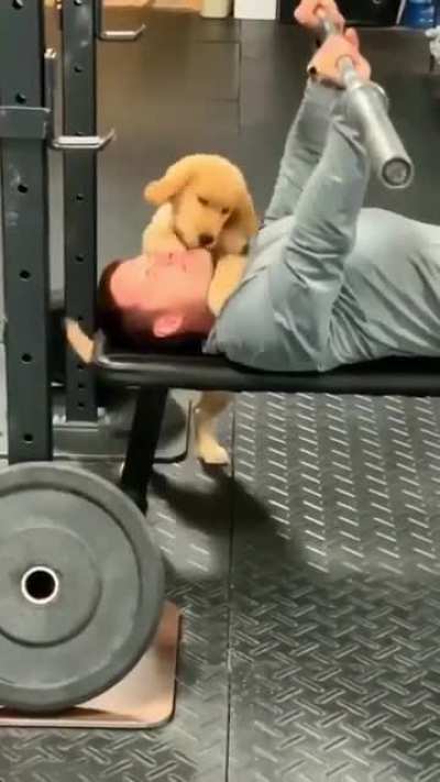 The best gym PAWtner ever ???