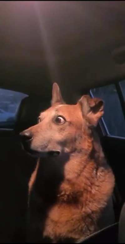 When you drove into a strange area and a fight started ???