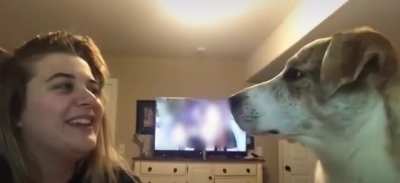 Dont copy me hooman