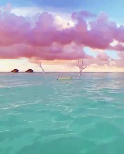 ? This cotton candy sky during the golden hour in the Maldives