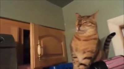Sneak attack!