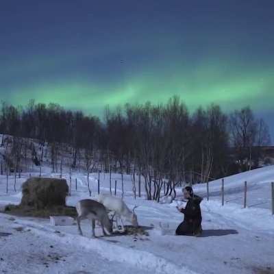 ? Magical Norway ?