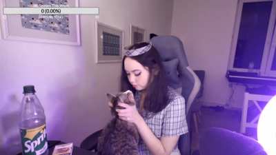 to face rape a cat