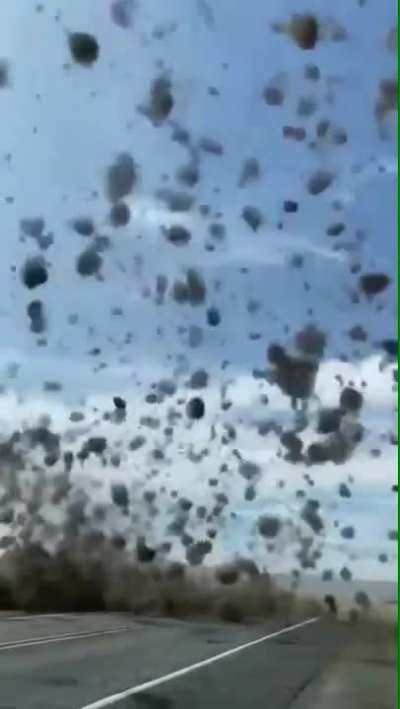 ? Tumbleweed Tornado