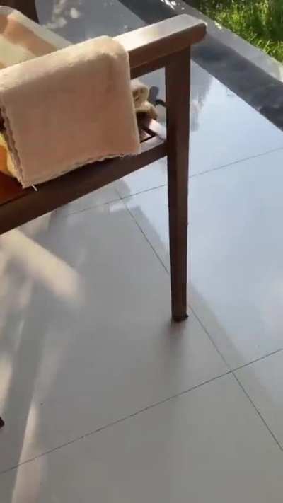 The things I see living in Thailand ?