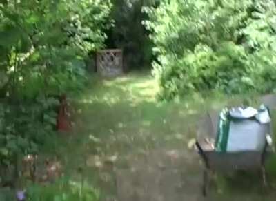 Girl with down's syndrome's home video goes wrong (Wait until the end)