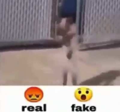 Real or Fake?