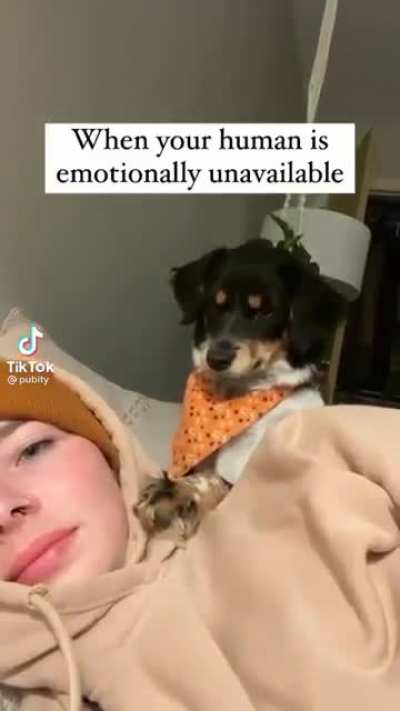 You dare to ignore me?