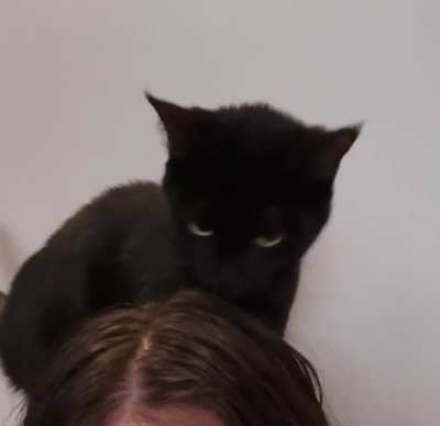 Hairdresser