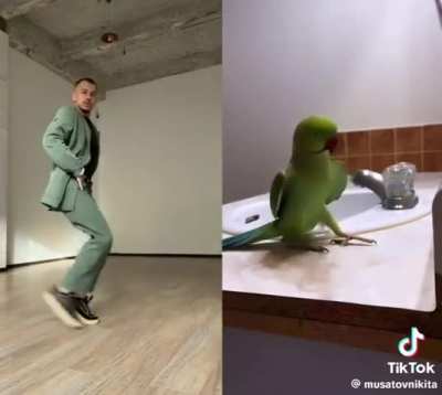 It looks like the same thing to me ?