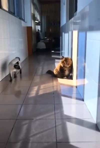 Maybe Maybe Maybe