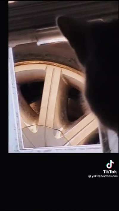 Staredown
