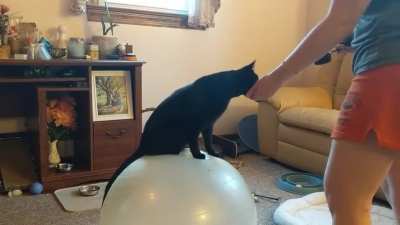 Hold my catnip while I work on my circus cat audition