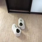 There was a young kitten that lived in a slipper.
