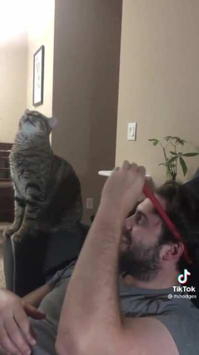 Silly cat doesn’t understand physics