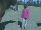 How about I try to push around a horse?