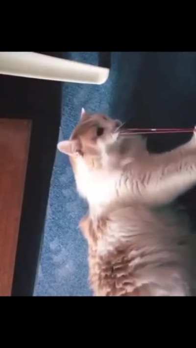Wait for it.... wait for it....