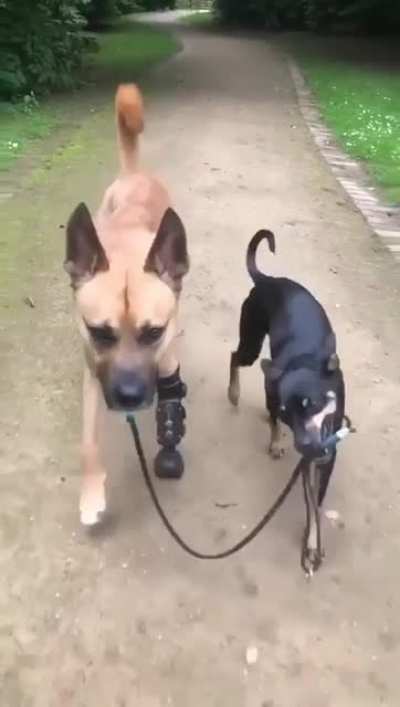 Awww