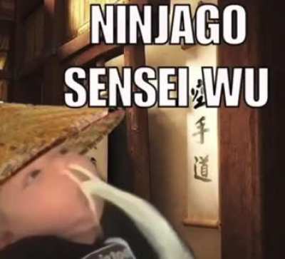 Reborn of the Master