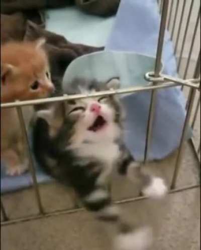 Help I’m stuck