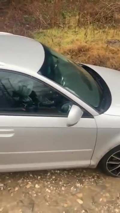 Car vs river