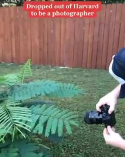 Pro Photographer