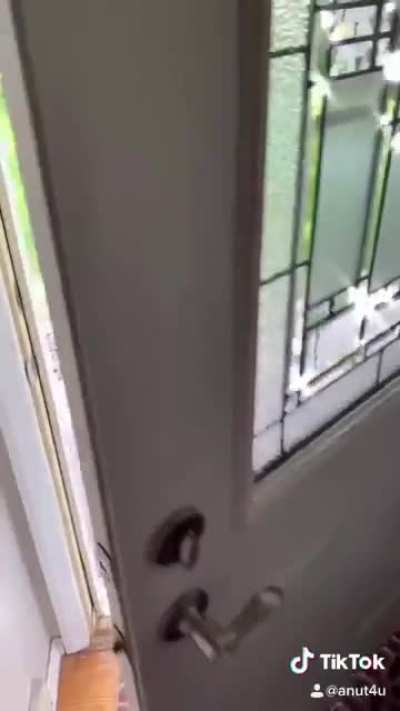 Not sure what it is, but I know this is it.