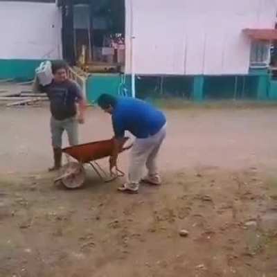 To be helpful.