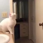 Amazing jump GIF