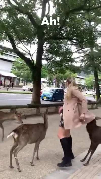 She got cornered ?