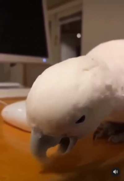 He sneak.