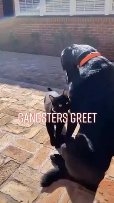 Notorious thugs