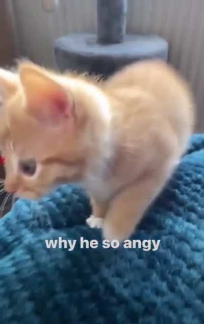 ?