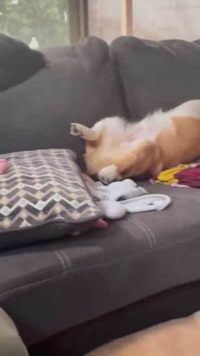 It's Either Naptime Or The CO Detector Is Broken
