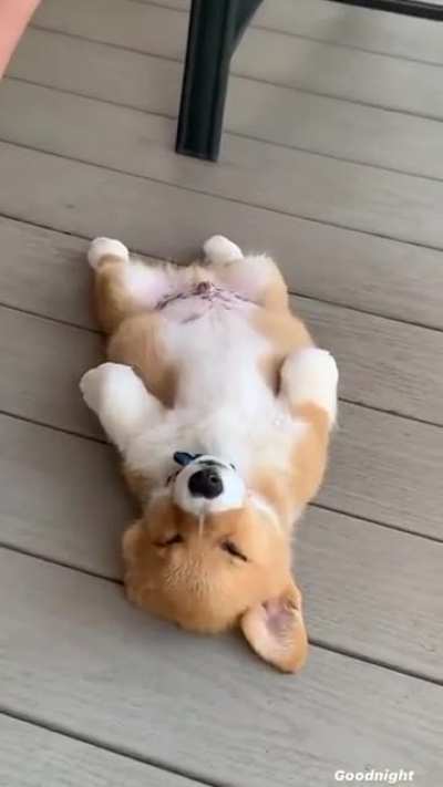 Why’d he fall asleep like that ??