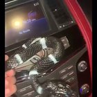 Arab pranks = best pranks