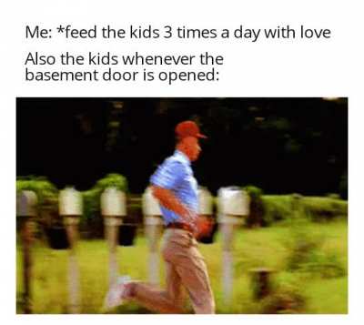 Why do you have to run away