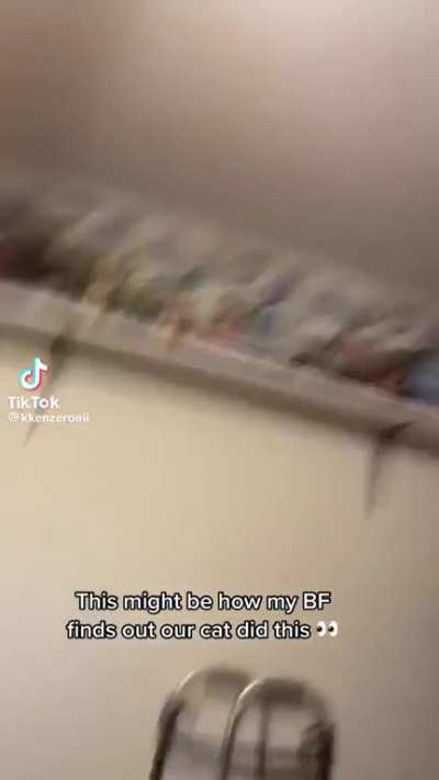 Cat knocks over Lego