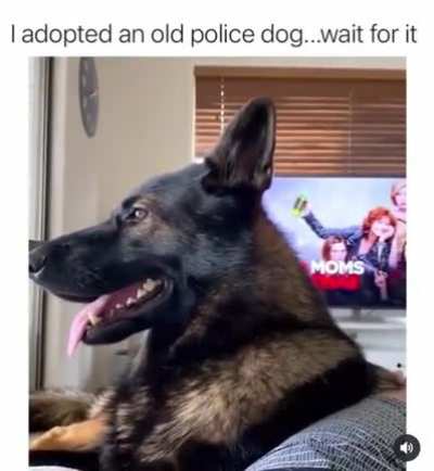 you said what?!?