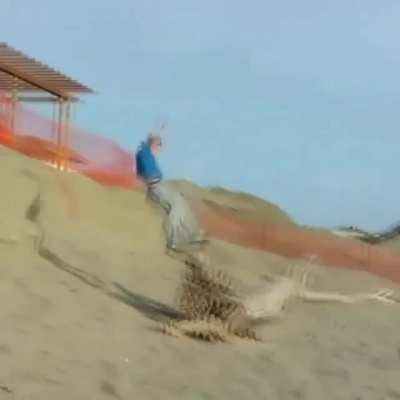 Bad aim....