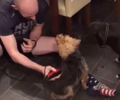 That's the spot ?