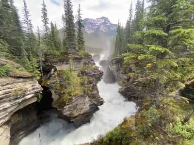 ? Athabasca Falls, Jasper National Park, Alberta, Canada