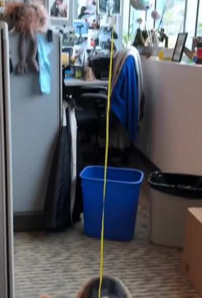 Pooch Tracker!