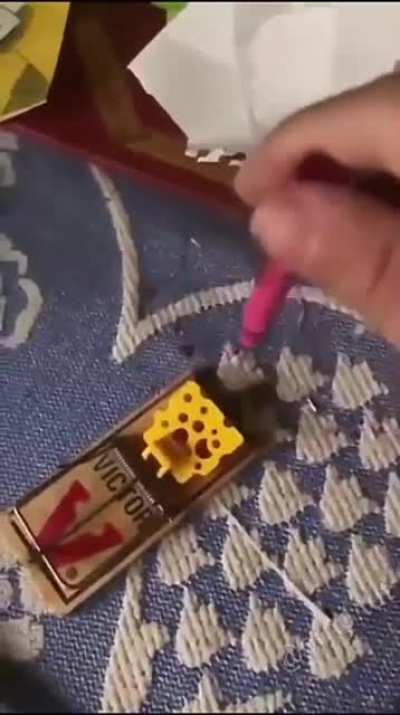 Testing put the mousetrap