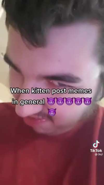 Kitten?