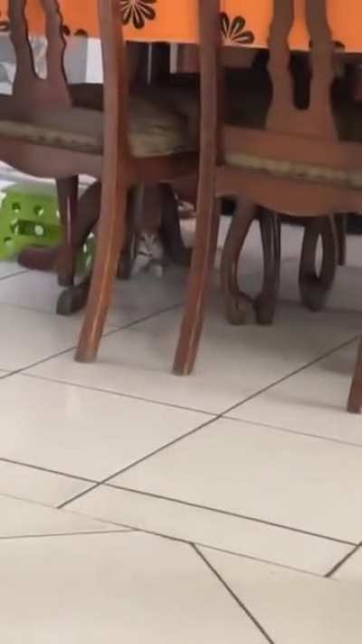 Maybe Maybe Maybe