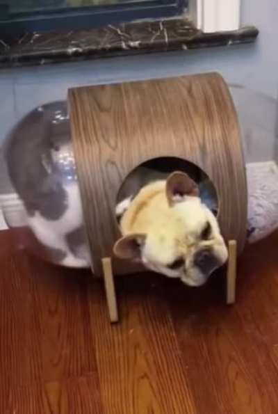 Let me outta here!