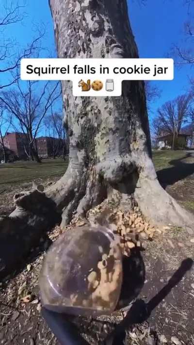 ?️